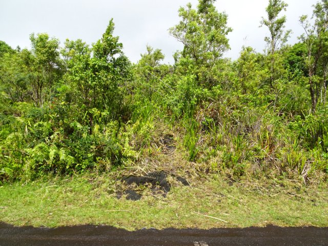 Le départ du sentier depuis le Chemin Touzet