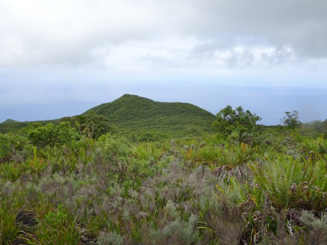 Deux des têtes visibles du Piton Trois Têtes