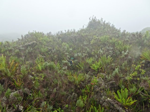 La deuxième faille amont, fin de la randonnée imposée par le brouillard