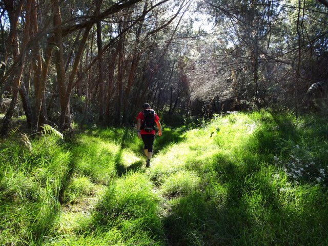 Début de la sommière Bernica dans les herbes vertes