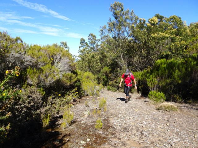 La sommière est tantôt piste, tantôt sentier sur basaltes