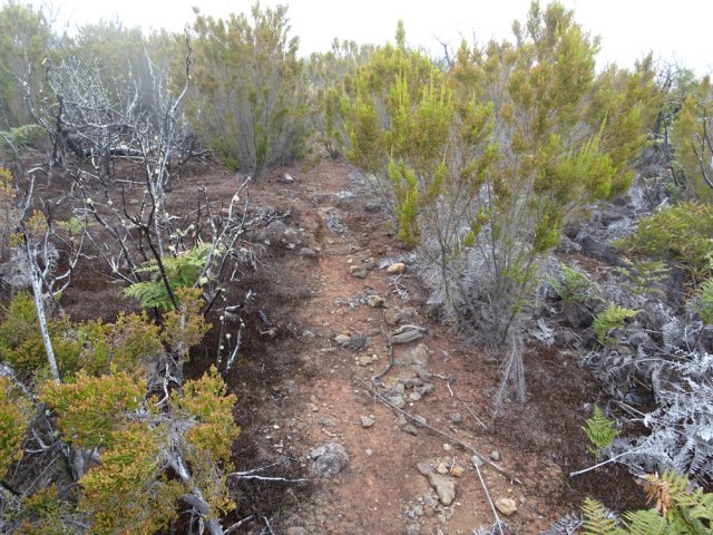 Une portion très visible du sentier du Piton de la Ravine Saint-Gilles