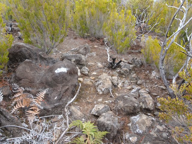 Une autre, plus discrète mais balisée de blanc