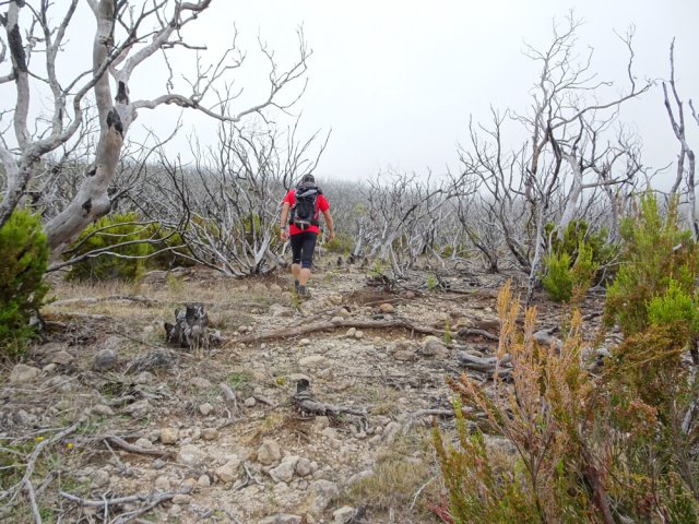 Progression dans les branles incendiés