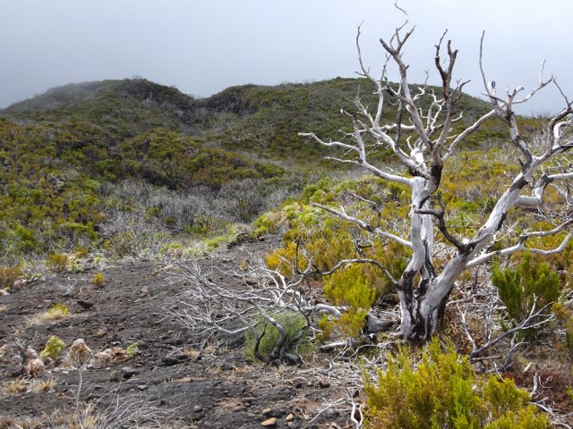 Le cratère qu'il faut escalader pour pouvoir poursuivre sereinement