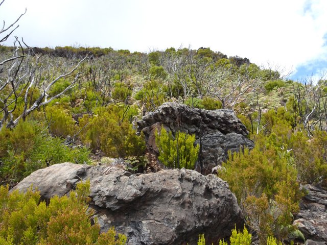 Ce rocher érodé caractéristique est le passage obligé avant la grimpette