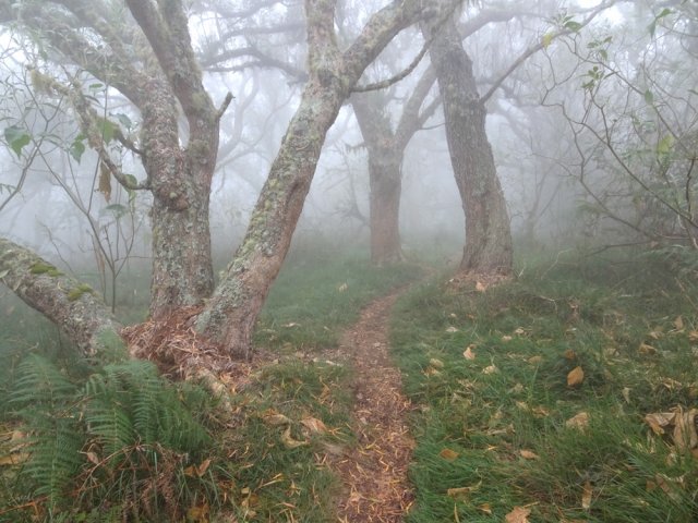 Un court sentier rejoint la piste Bolon