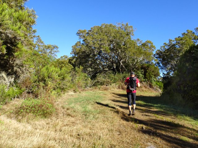 Nouvelle montée agréable par la piste Bernica