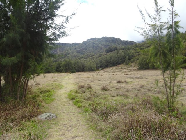 Le sentier traversant la Plaine aux Sables en direction de la Nouvelle