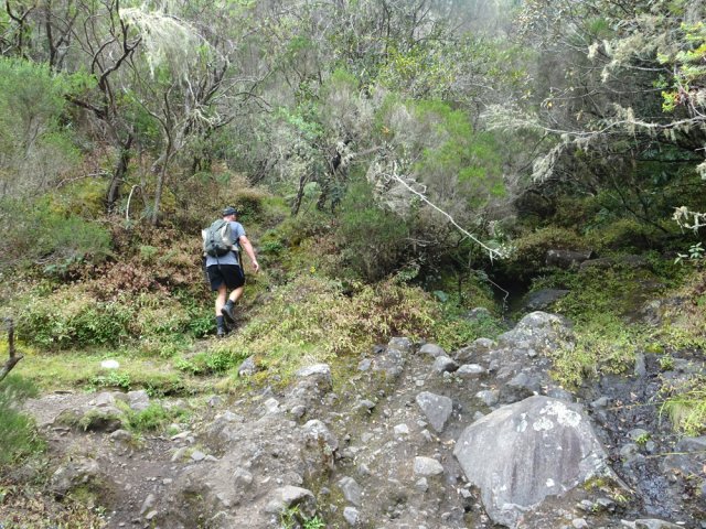 Le départ du sentier à 3 m de la ravine Alidor