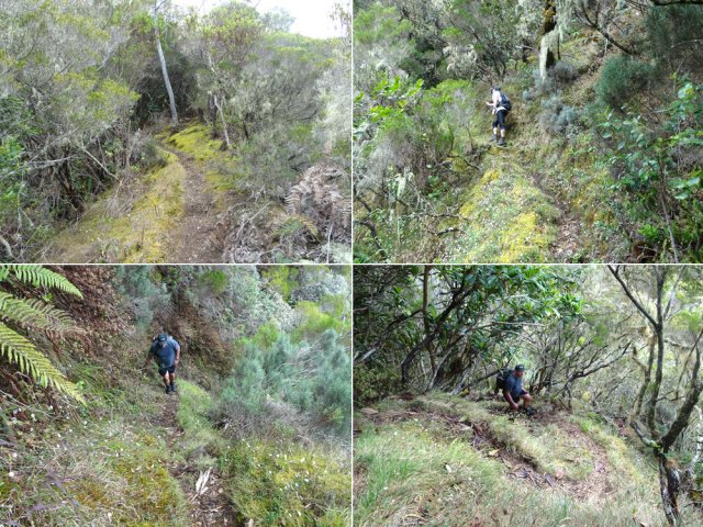 Le magnifique mais difficile sentier Alidor