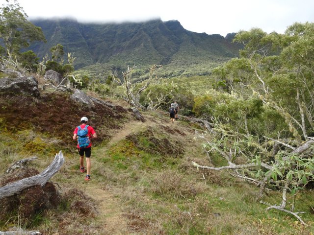 Le sentier qui rejoint le circuit classique de la Plaine des Tamarins