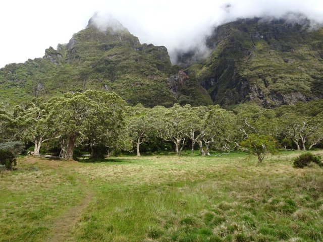Les flancs déchiquetés du Gros Morne dominent la plaine