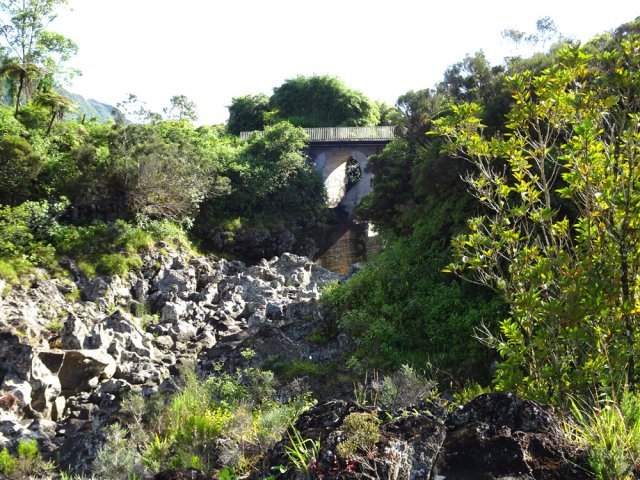 Le pont domine plusieurs bassins