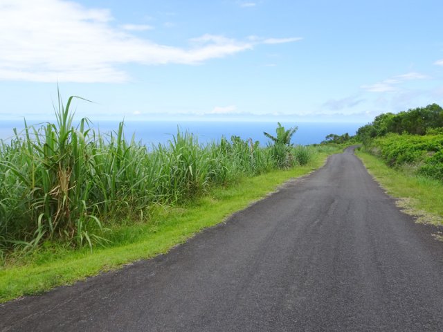 La route des Radiers au niveau du point de départ