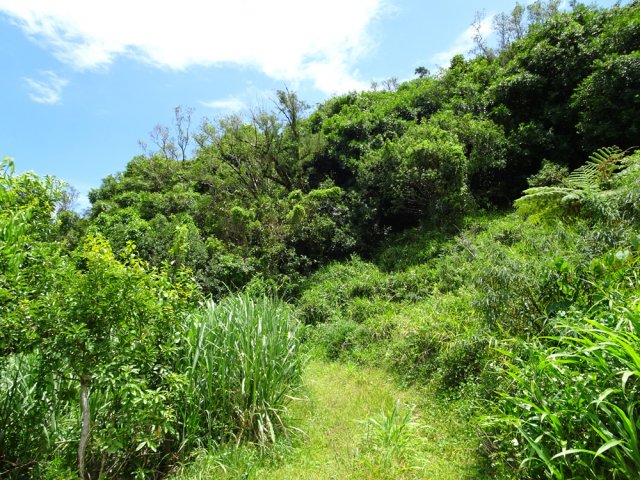 Une piste partant sur la droite vers le piton