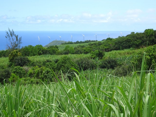 On s'approche, sans l'atteindre, de la ferme éolienne