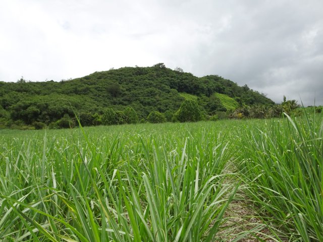 L'autre face du piton avant de remonter