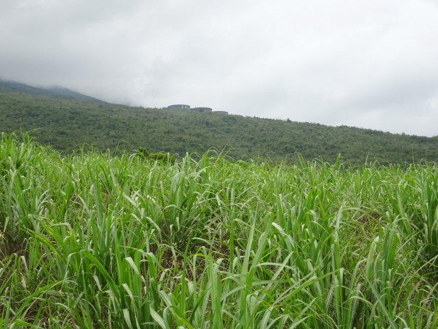 En fin de montée, on est assez proche des citernes de Sainte-Rose