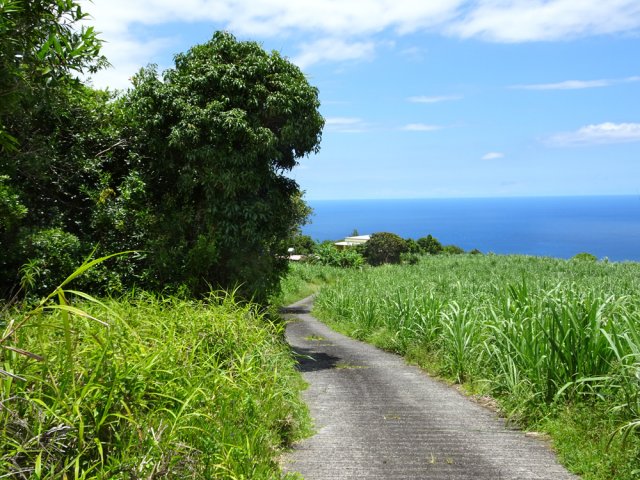 La route est étroite. Très peu de circulation sur cet axe