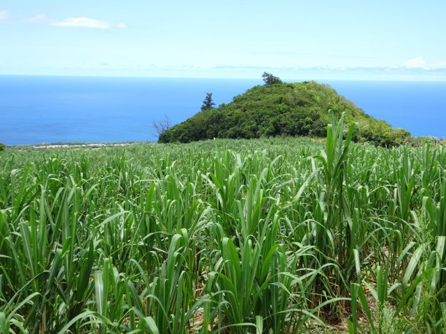 On contournera totalement le Piton Galets