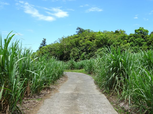 Le parcours frôle le Piton Galets