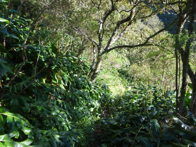 Départ du Sentier Augustave près de son parking