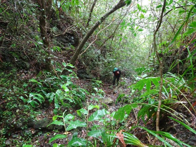 Une vingtaine de mètres s'effectuent dans le fond d'une petite ravine