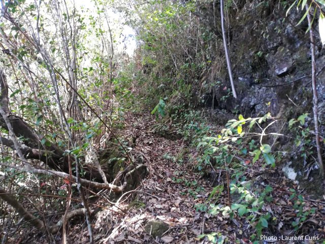 Le sentier à l'approche du plateau