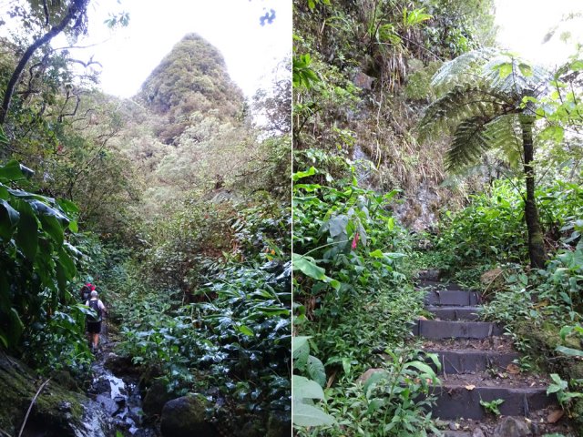 Quelques aperçus du sentier avant d'arriver au Bras Bémale
