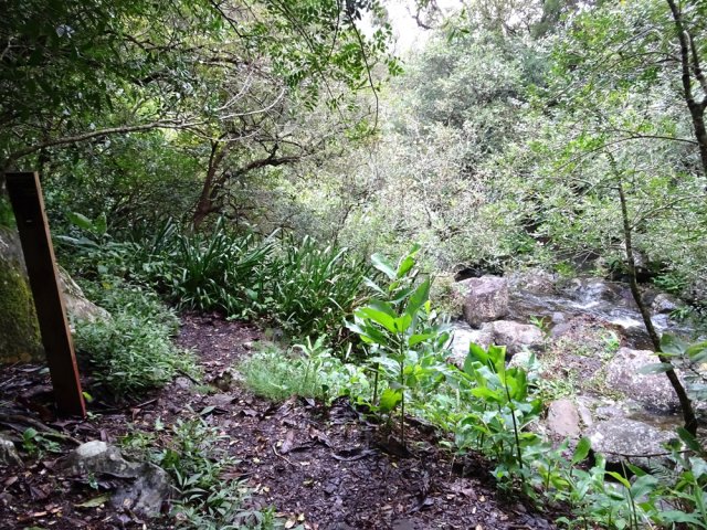 Au poteau de l'ONF, prendre à gauche vers le Plateau de la Sale