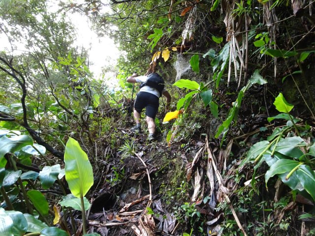 Les mains sont utiles dans les grimpettes les plus abruptes