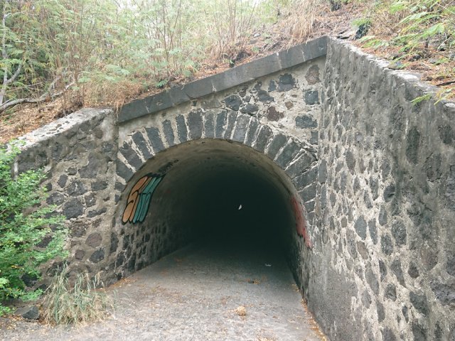 Pont de la Ravine du Patant Slip