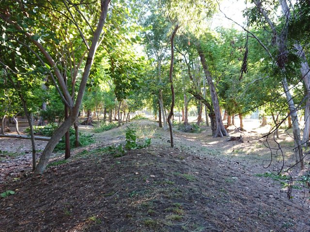 Ancien talus ferroviaire vers Saint-Paul
