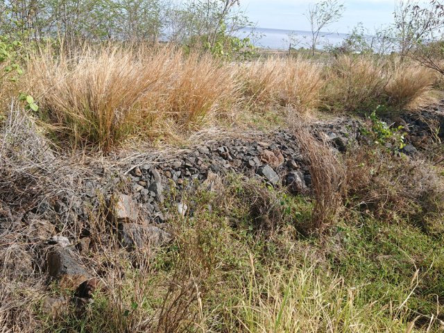 Ancien talus ferroviaire fait de ballast