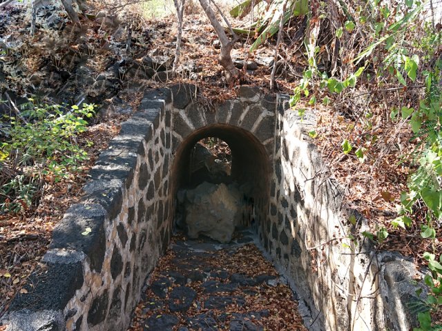 Ponceau ferroviaire vers Kélonia