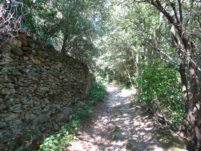 Début du sentier botanique bordé de hauts murs
