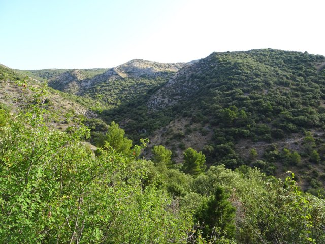 On aperçoit le sentier de l'autre côté du Ravin de Matte Arnaude