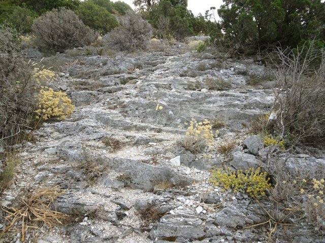 Le sentier est très souvent rocheux et en pente