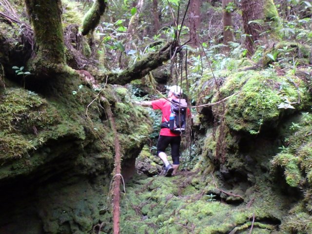 Ne pas hésiter à regagner le fond pour une balade minérale et végétale
