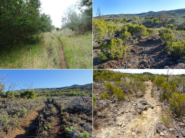 Quelques exemples du sentier du Piton Rouge