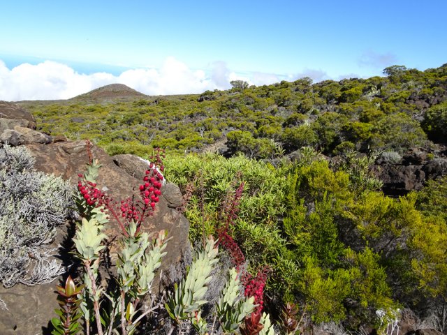 Le hors sentier n'est pas possible partout