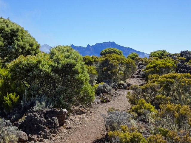 Les derniers mètres avant le bord du rempart