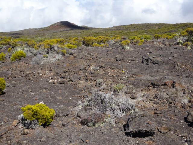 Pour le hors sentier, prendre le Piton Rouge en point de mire