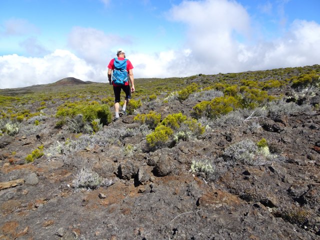 Aucune difficulté de trouver sa voie dans les branles rabougris