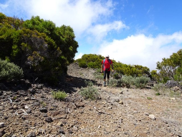 Balade sans difficulté sur cette piste avant la jonction avec le sentier de la Glacière