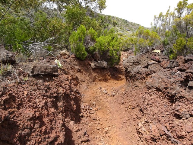 Les milliers de passages ont creusé le sentier assez profondément