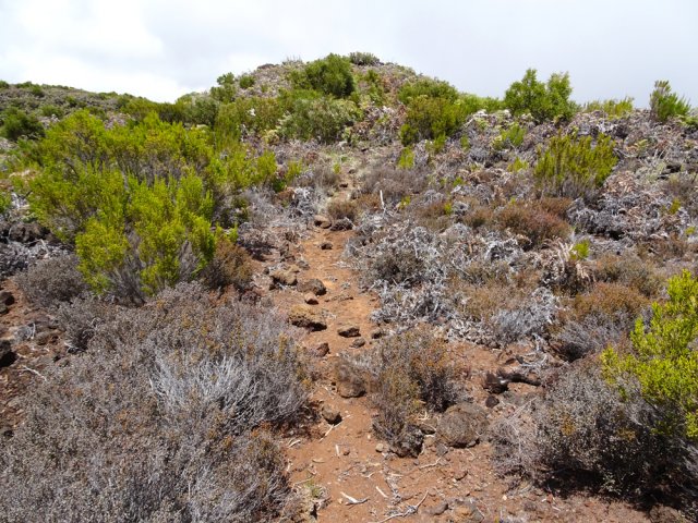 Du hors sentier qui n'en est pas vraiment