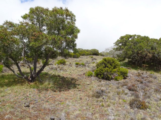 On peut marcher n'importe où dans les larges "prairies"