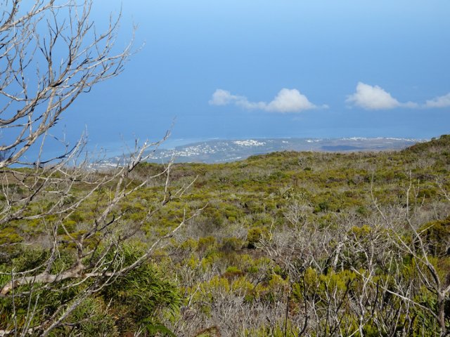Les panoramas sur l'océan sont fréquents à partir de 2000 m